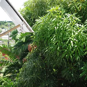 Guest house Charming Old World, Bridgetown